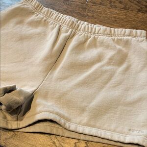 Aritzia Shorts